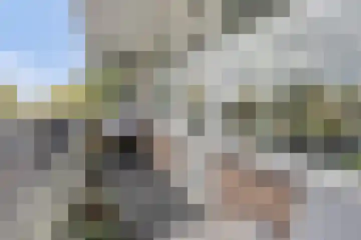 Penningkruid 12 Kampen thumbnail 15