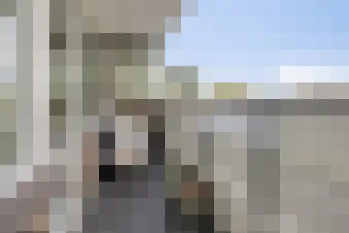 Penningkruid 12 Kampen thumbnail 16