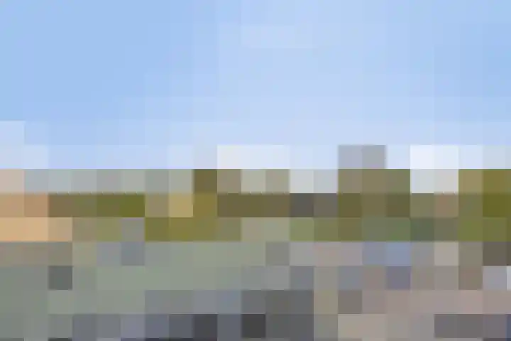 Penningkruid 12 Kampen thumbnail 17
