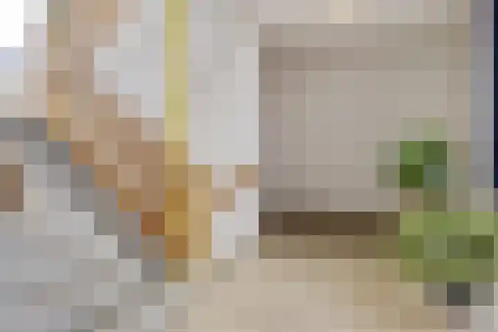 Penningkruid 12 Kampen thumbnail 19