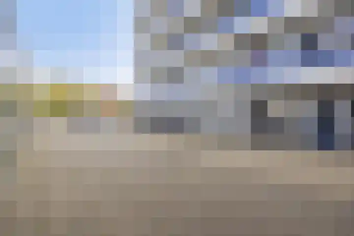 Penningkruid 12 Kampen thumbnail 24