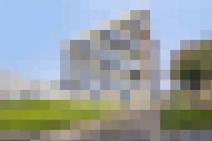 Penningkruid 12 Kampen thumbnail 25