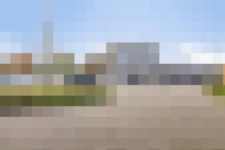 Penningkruid 12 Kampen thumbnail 26