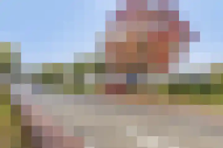 Penningkruid 12 Kampen thumbnail 27