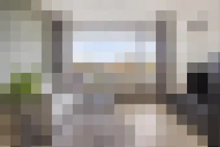 Penningkruid 12 Kampen thumbnail 4