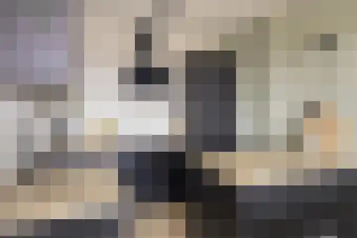 Penningkruid 12 Kampen thumbnail 7