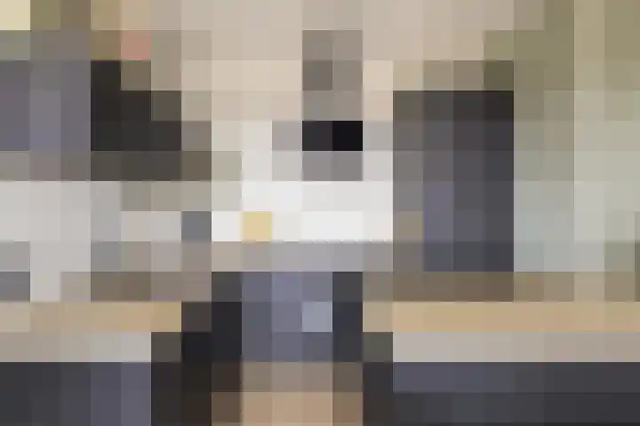Penningkruid 12 Kampen thumbnail 8