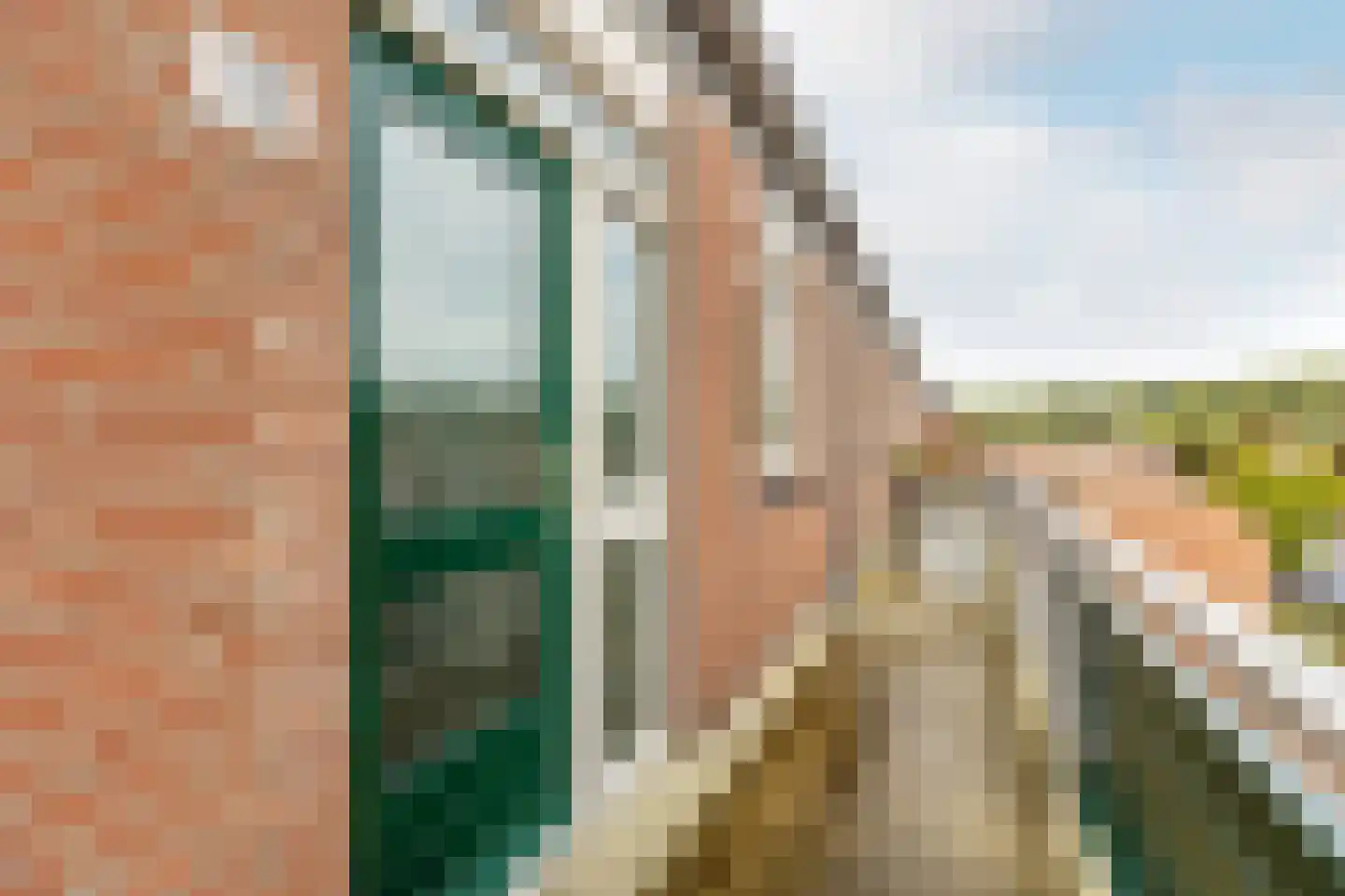 Penningkruid 13 Nieuwerkerk aan den IJssel thumbnail 11