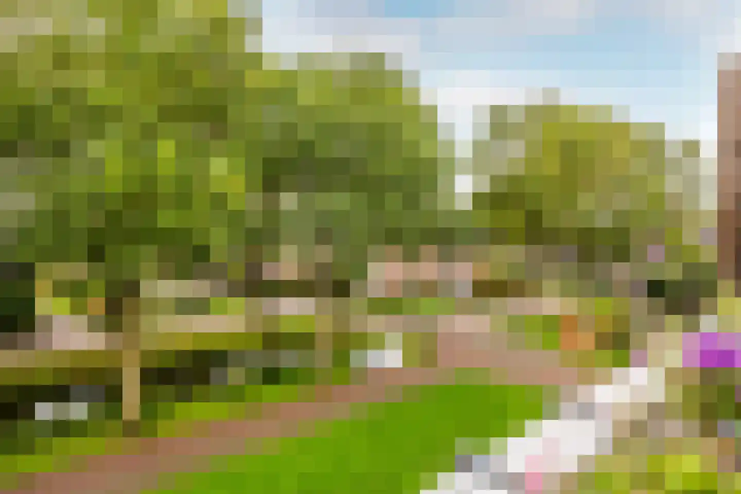 Penningkruid 13 Nieuwerkerk aan den IJssel thumbnail 18