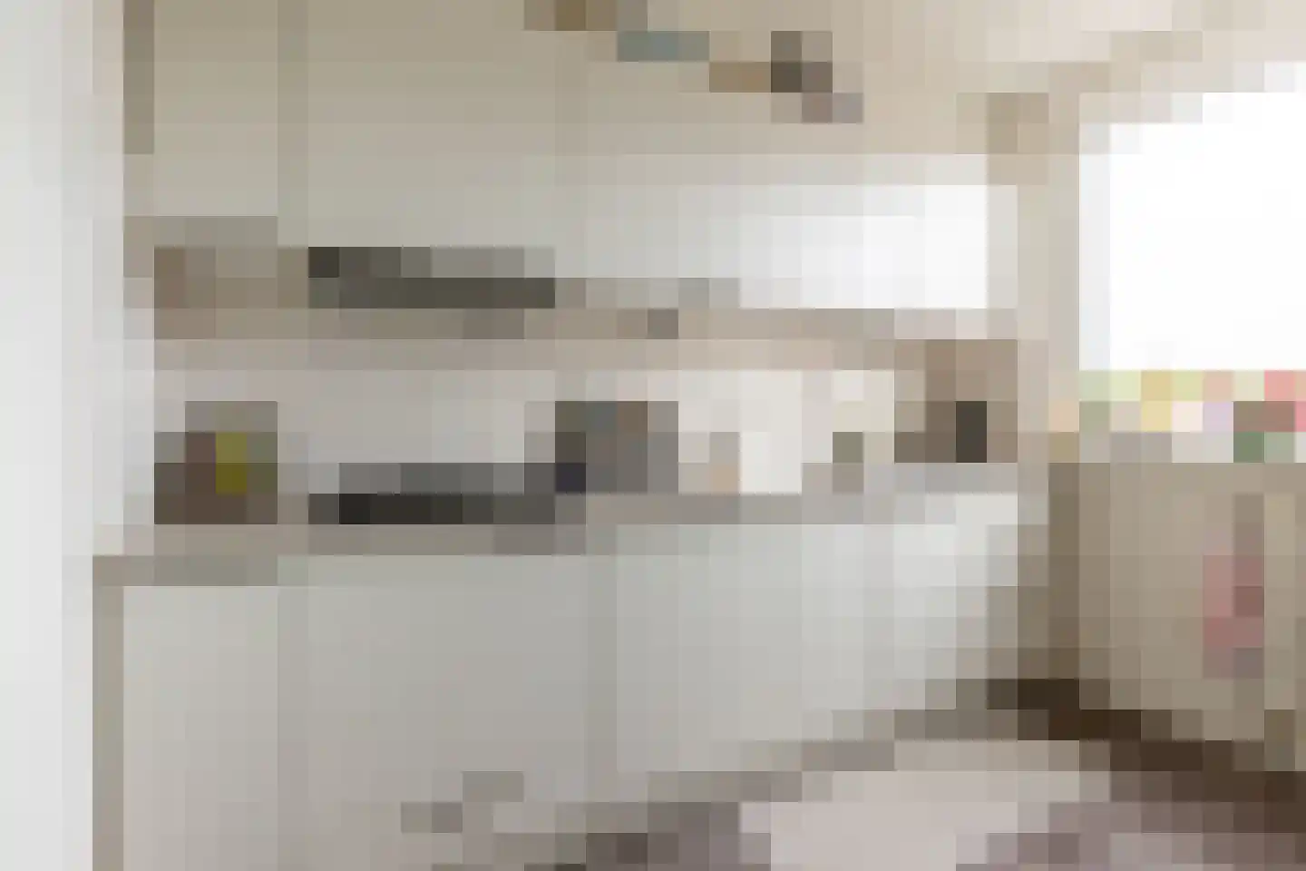 Penningkruid 13 Nieuwerkerk aan den IJssel thumbnail 22