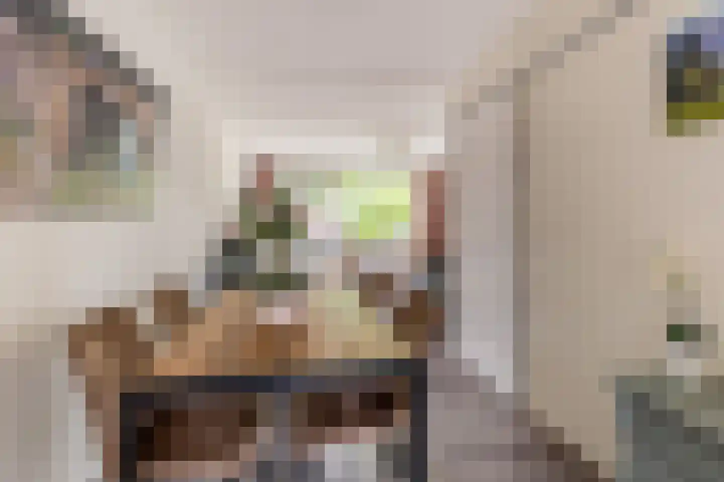 Penningkruid 13 Nieuwerkerk aan den IJssel thumbnail 24