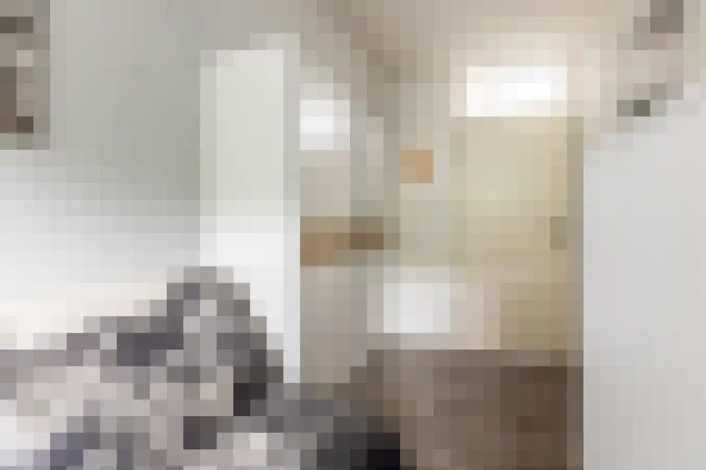 Penningkruid 13 Nieuwerkerk aan den IJssel thumbnail 32