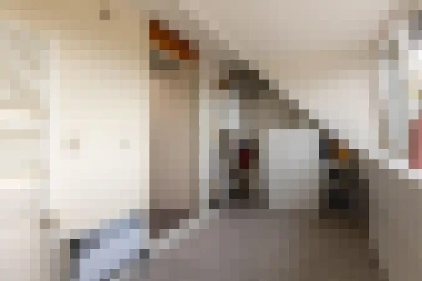 Penningkruid 13 Nieuwerkerk aan den IJssel thumbnail 35