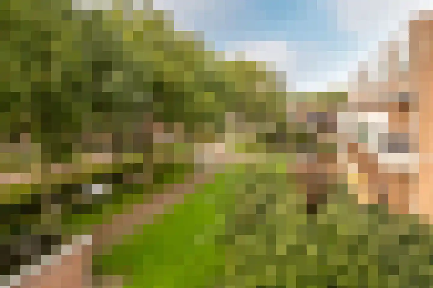 Penningkruid 13 Nieuwerkerk aan den IJssel thumbnail 37