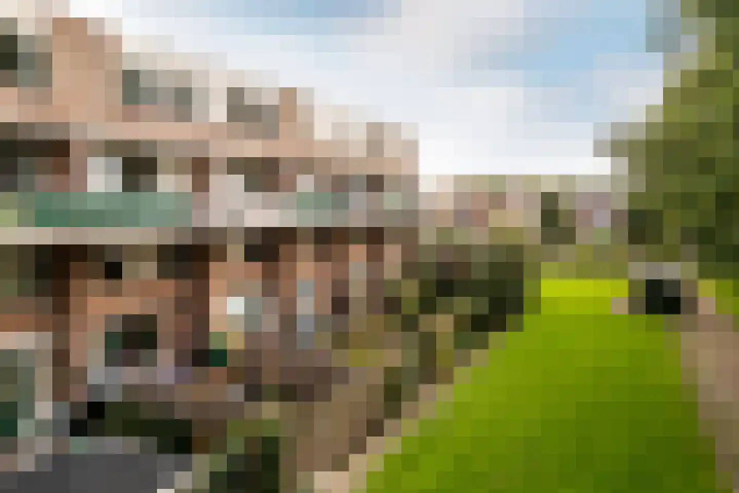 Penningkruid 13 Nieuwerkerk aan den IJssel thumbnail 39