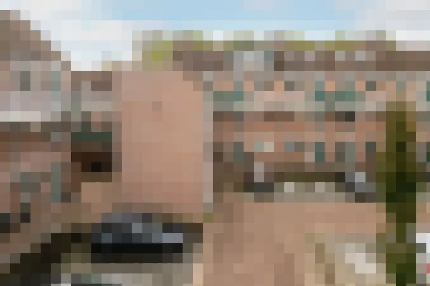 Penningkruid 13 Nieuwerkerk aan den IJssel thumbnail 42