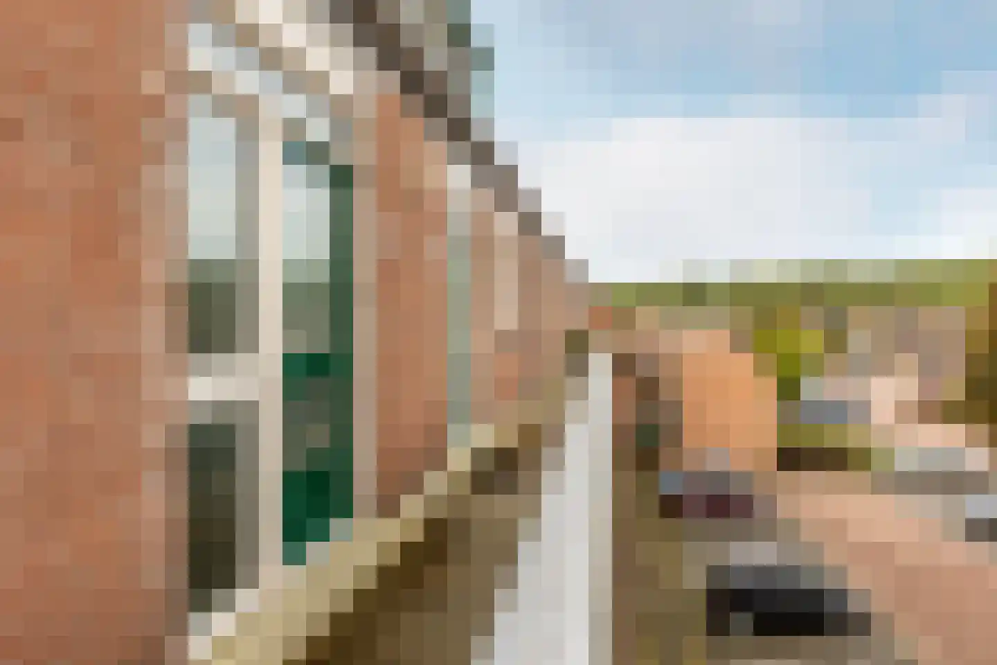 Penningkruid 13 Nieuwerkerk aan den IJssel thumbnail 44