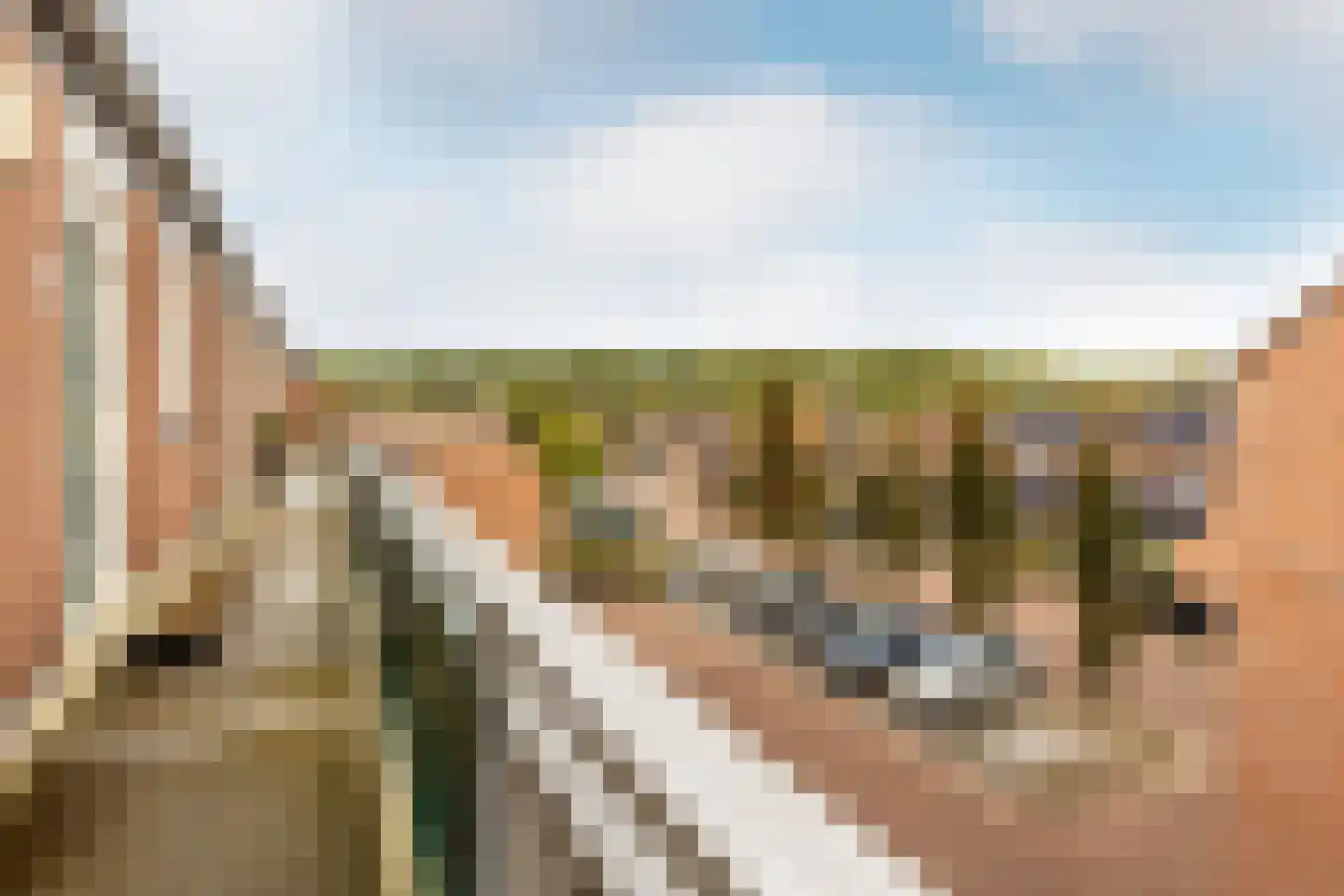 Penningkruid 13 Nieuwerkerk aan den IJssel thumbnail 45