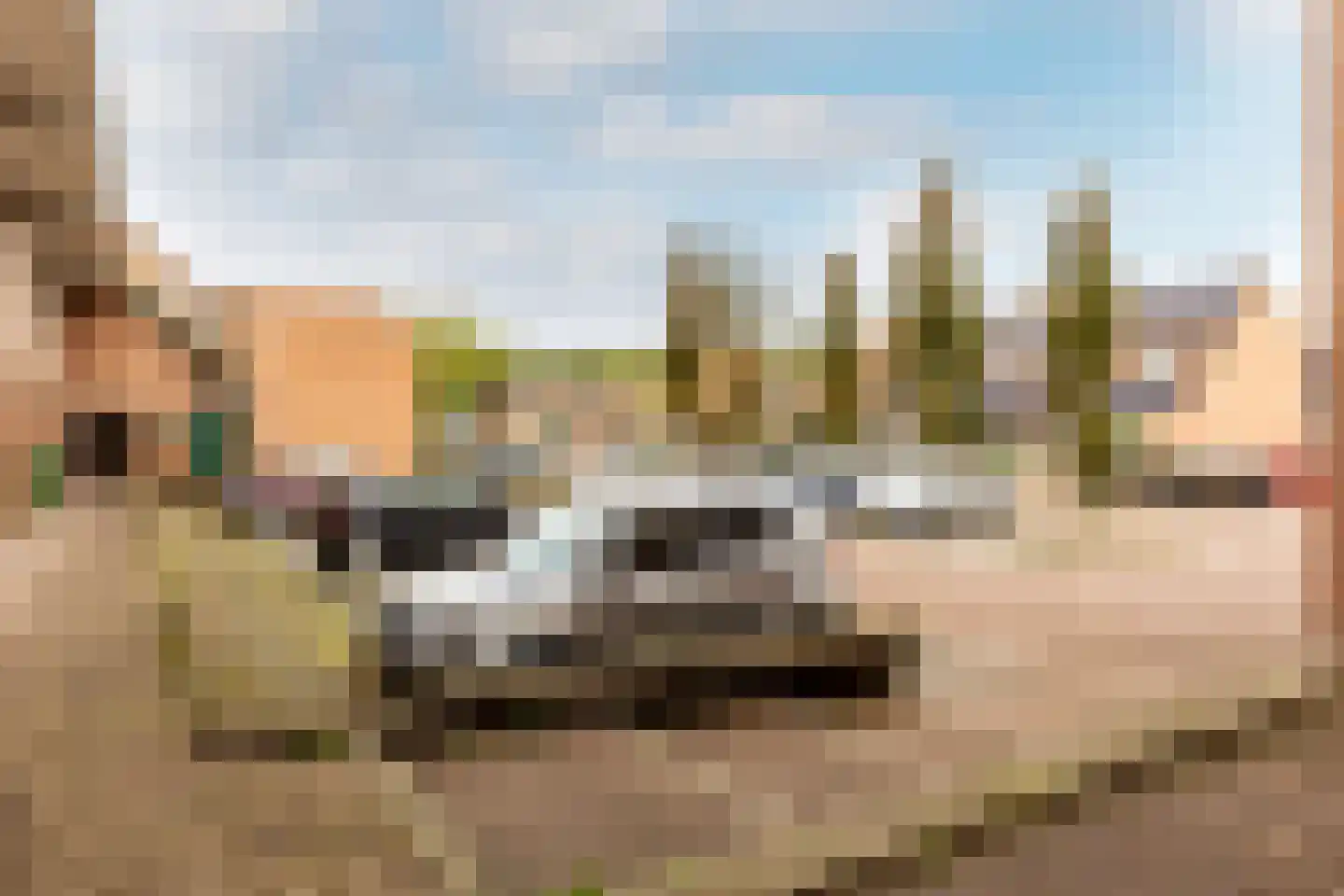 Penningkruid 13 Nieuwerkerk aan den IJssel thumbnail 46