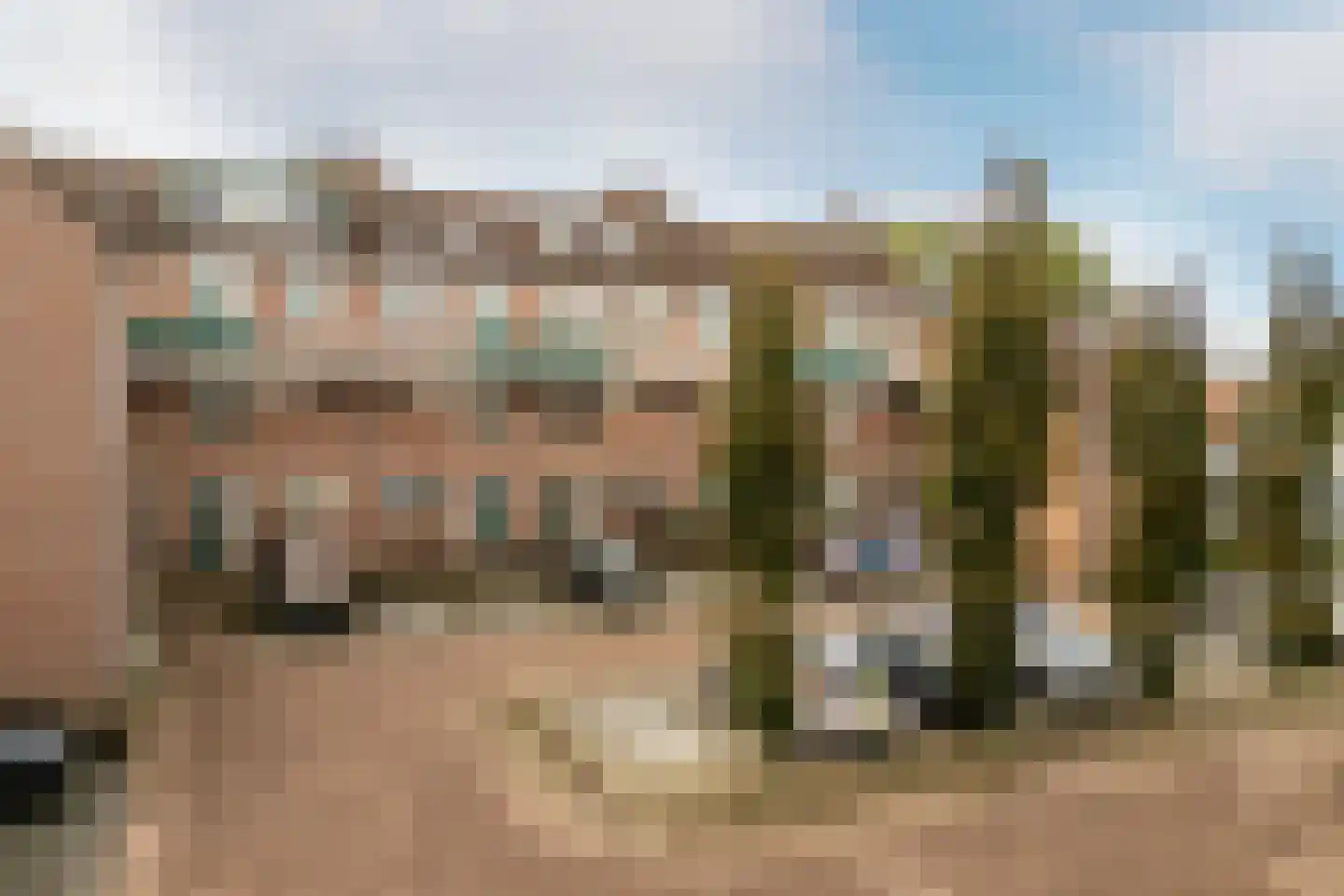Penningkruid 13 Nieuwerkerk aan den IJssel thumbnail 6