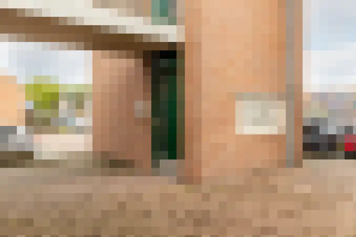 Penningkruid 13 Nieuwerkerk aan den IJssel thumbnail 8