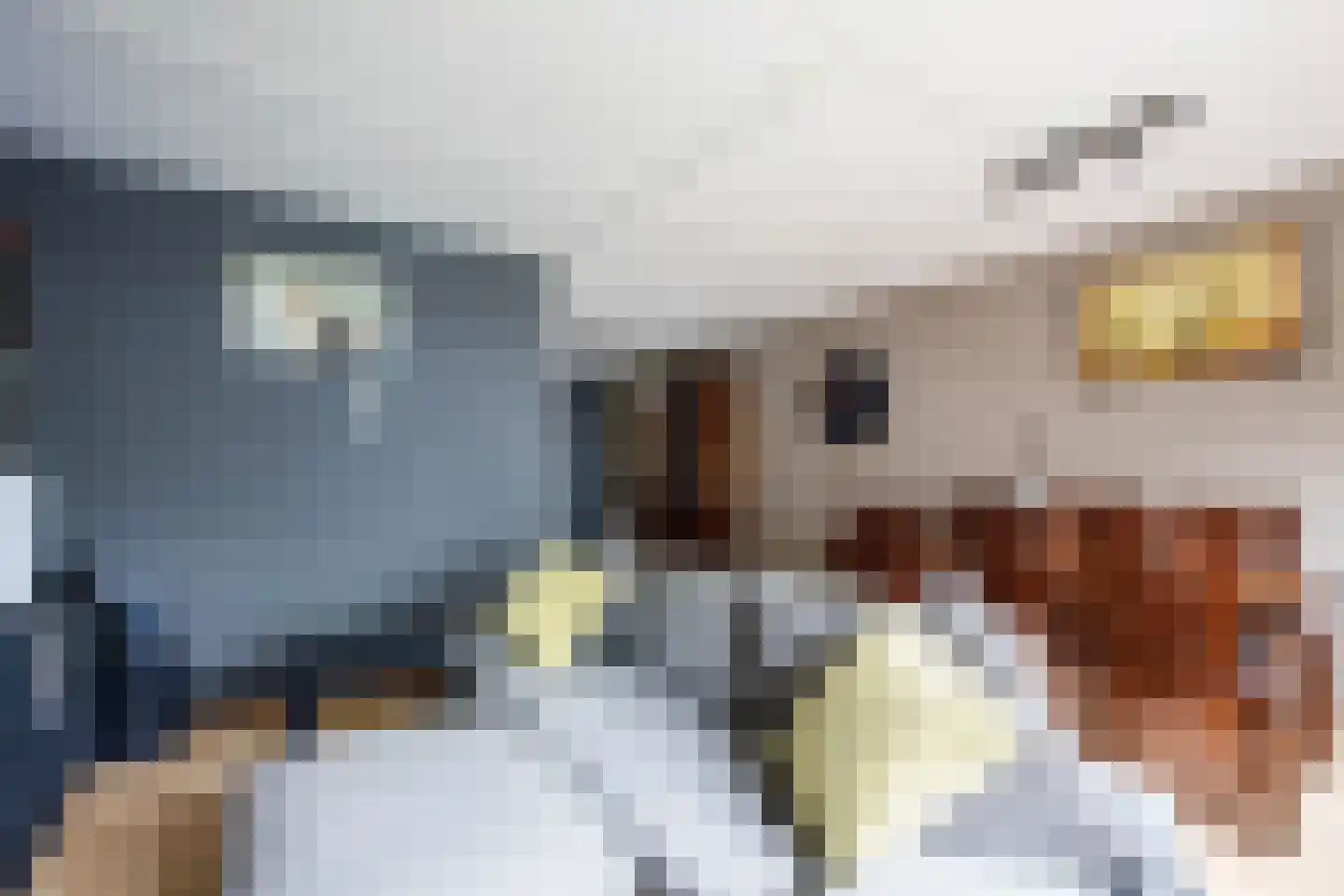 Penningkruid 15 Nieuwerkerk aan den IJssel thumbnail 11