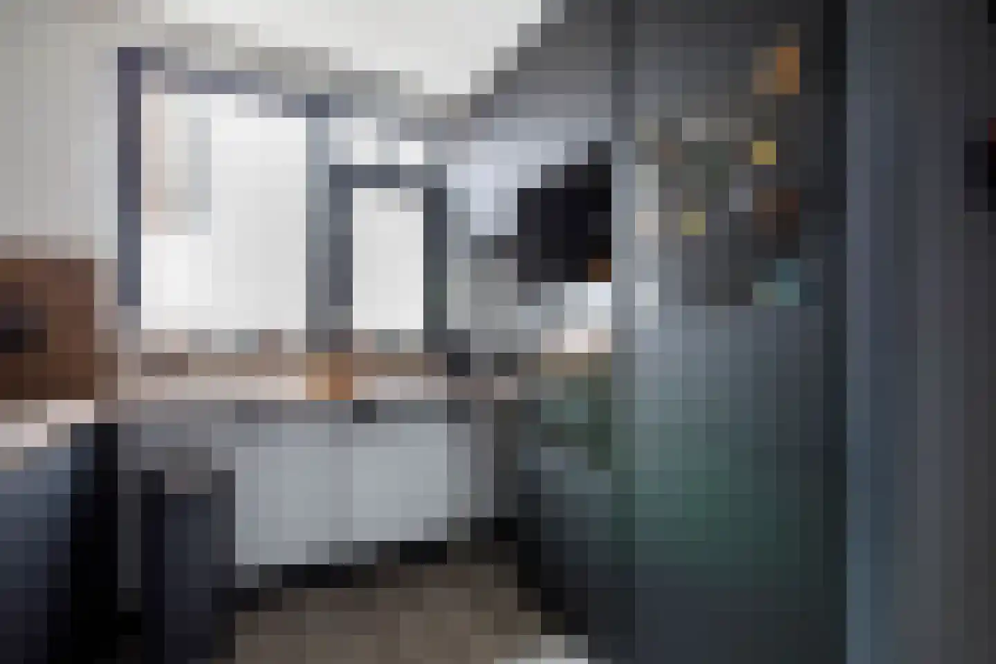 Penningkruid 15 Nieuwerkerk aan den IJssel thumbnail 13