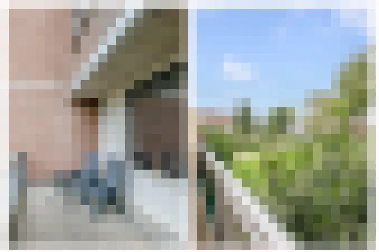 Penningkruid 15 Nieuwerkerk aan den IJssel thumbnail 16