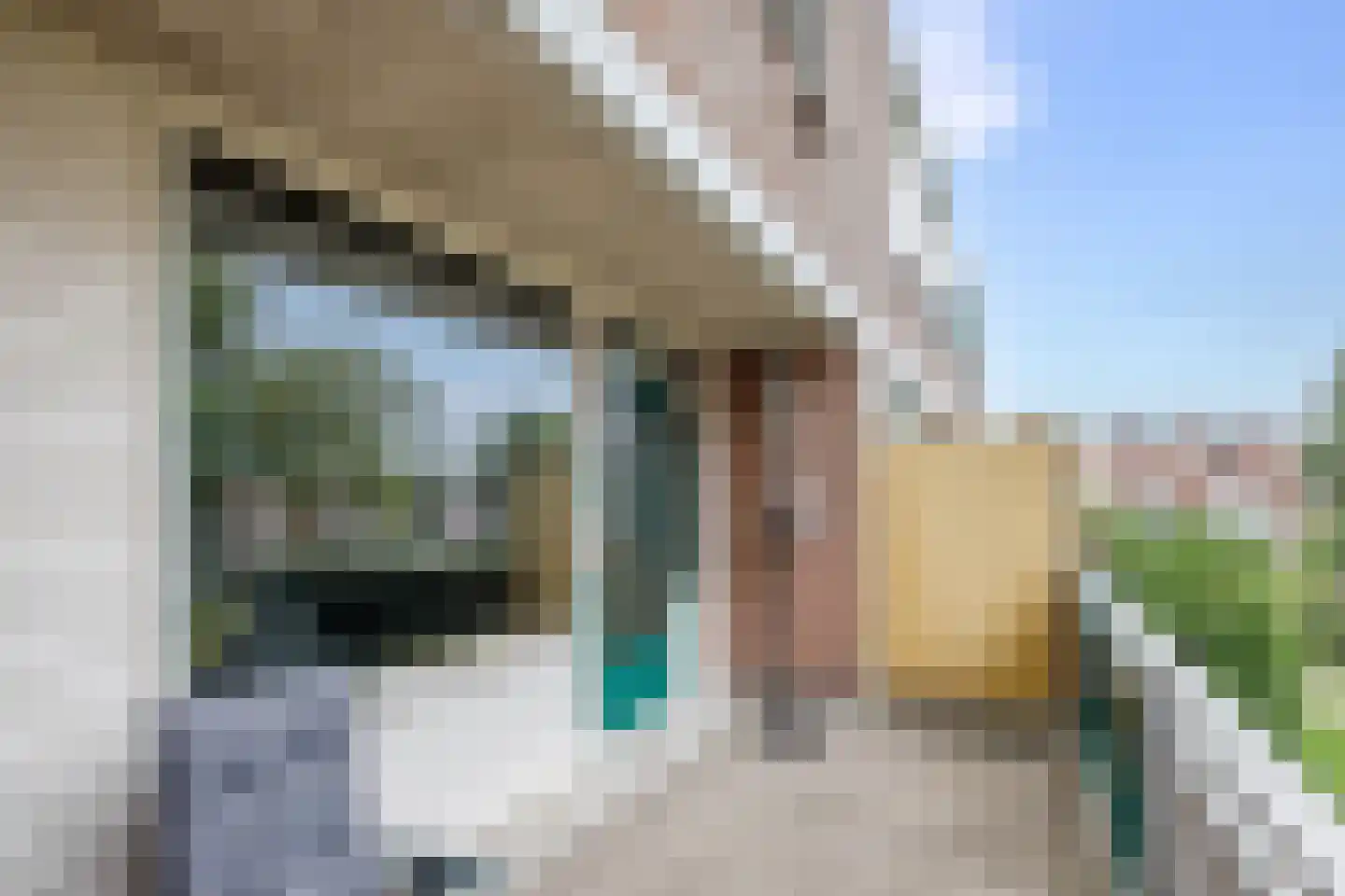 Penningkruid 15 Nieuwerkerk aan den IJssel thumbnail 17