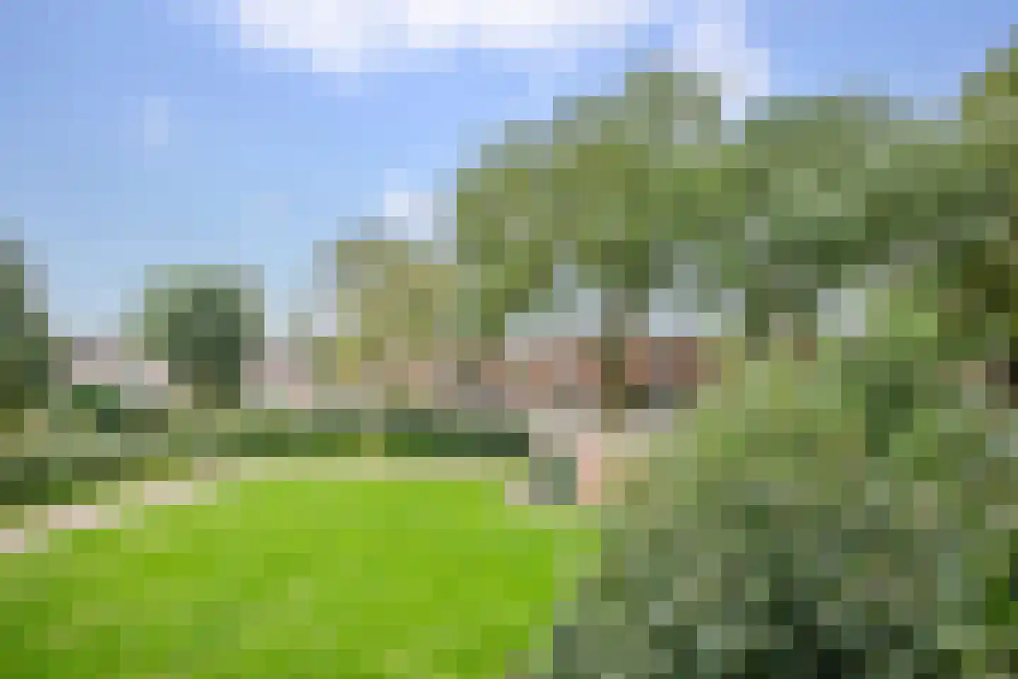 Penningkruid 15 Nieuwerkerk aan den IJssel thumbnail 18