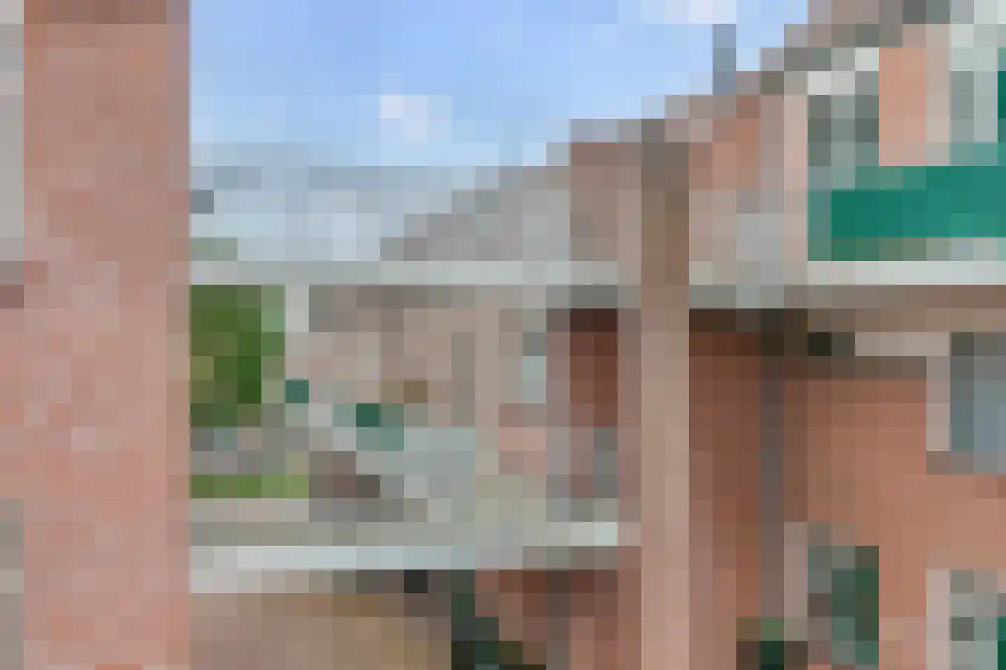 Penningkruid 15 Nieuwerkerk aan den IJssel thumbnail 29
