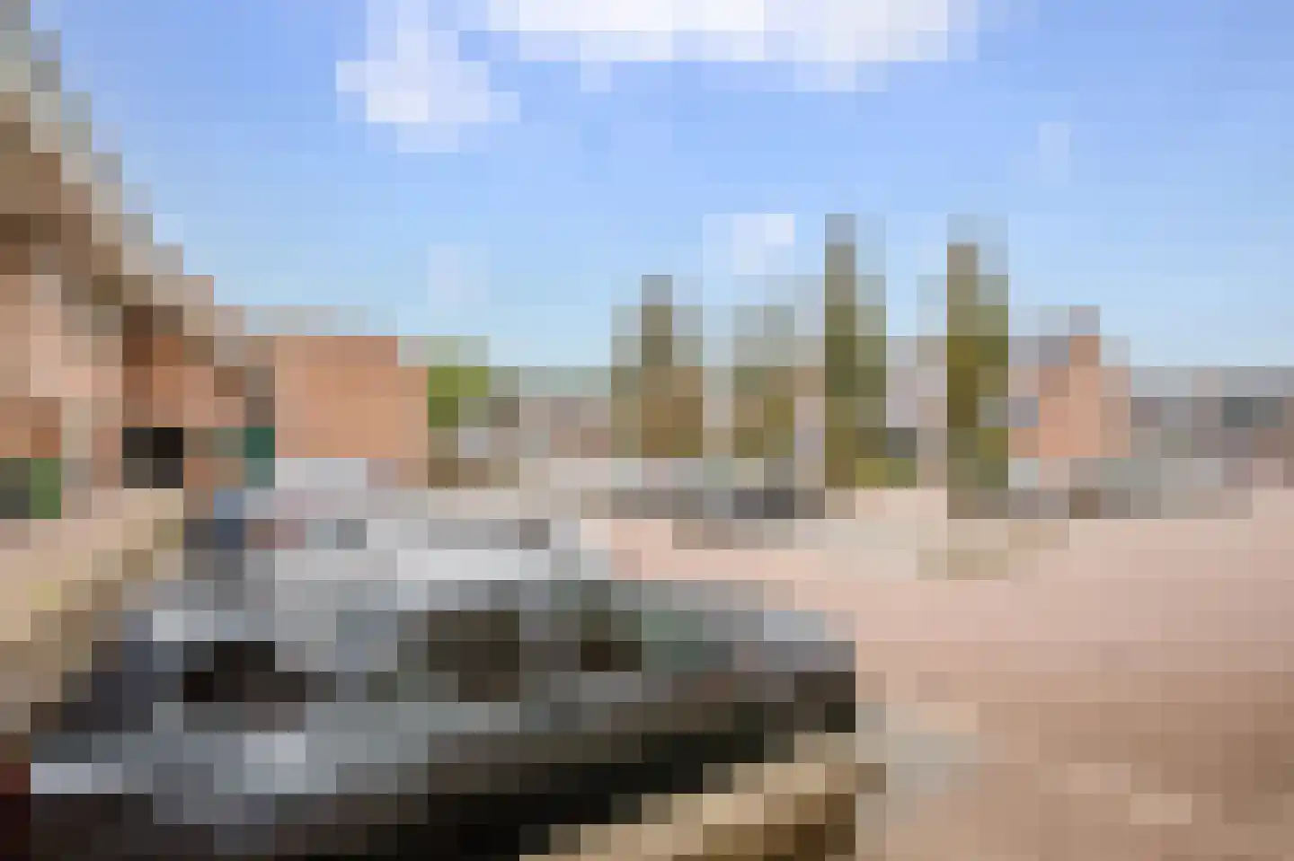 Penningkruid 15 Nieuwerkerk aan den IJssel thumbnail 31