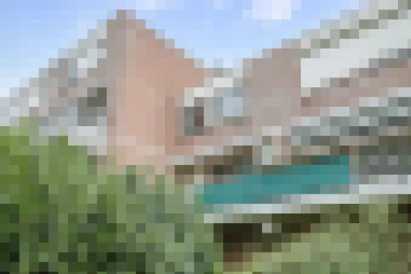 Penningkruid 15 Nieuwerkerk aan den IJssel thumbnail 33