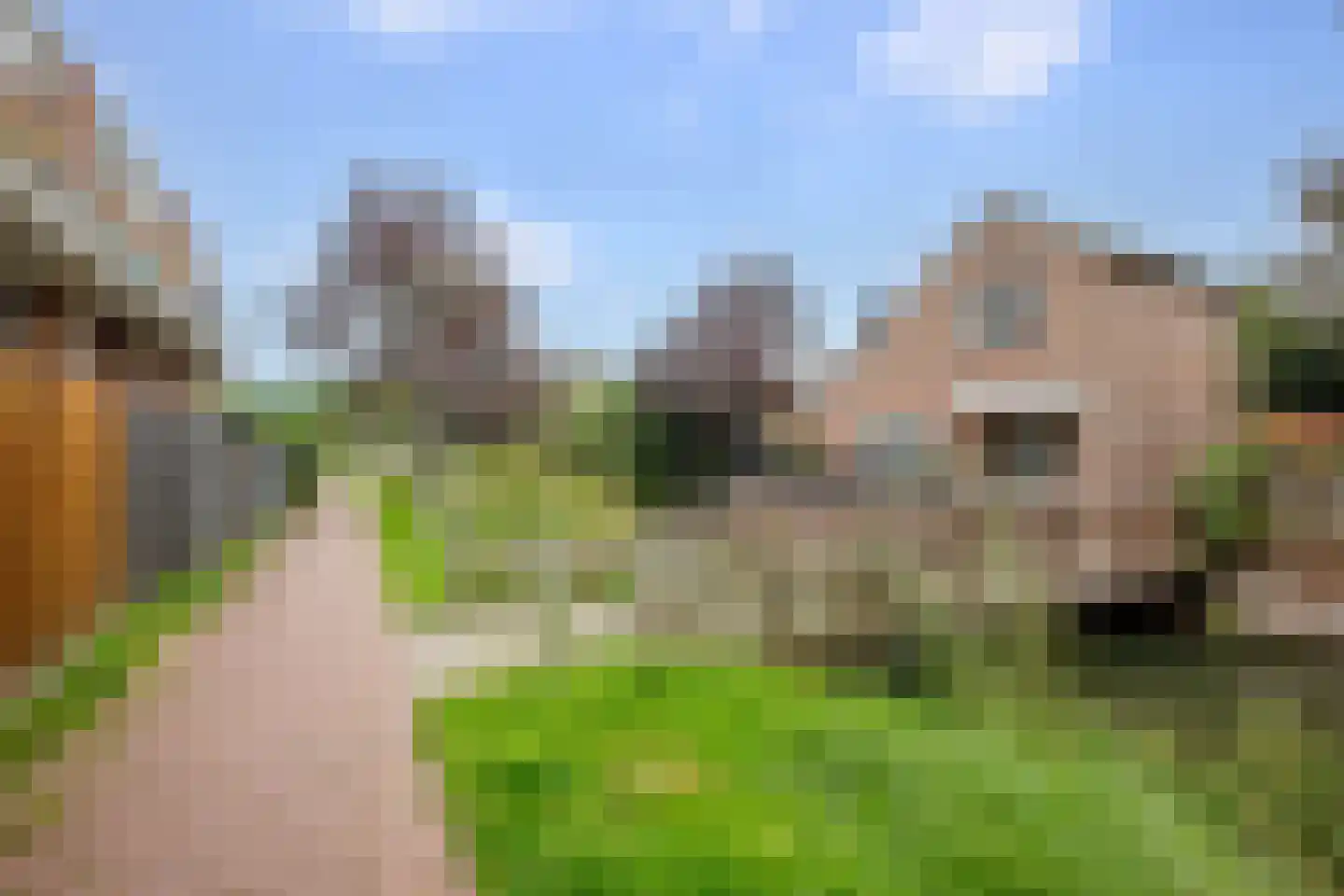 Penningkruid 15 Nieuwerkerk aan den IJssel thumbnail 35