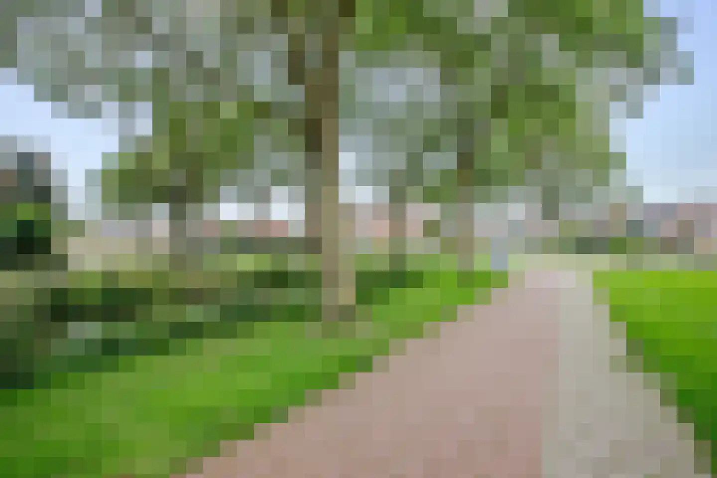 Penningkruid 15 Nieuwerkerk aan den IJssel thumbnail 37