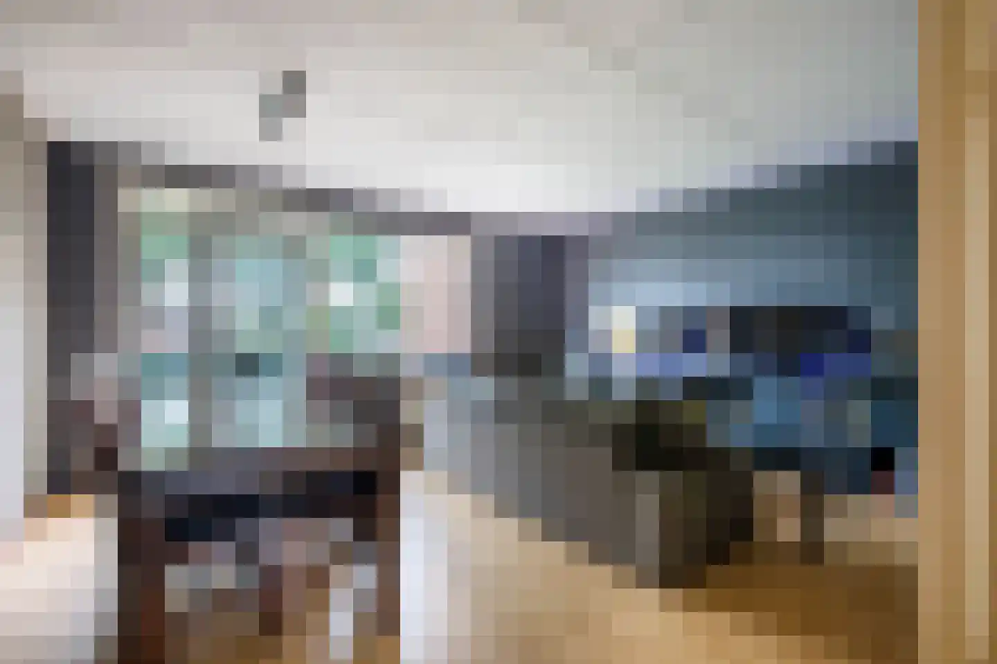 Penningkruid 15 Nieuwerkerk aan den IJssel thumbnail 8