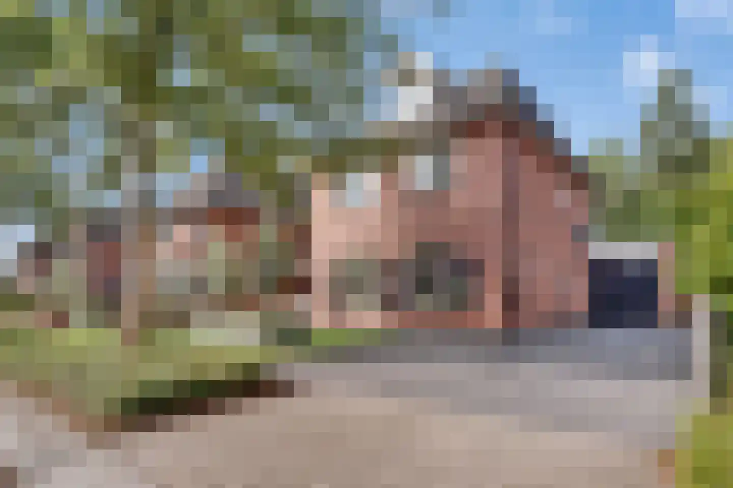 Penningkruid 16 in Vroomshoop