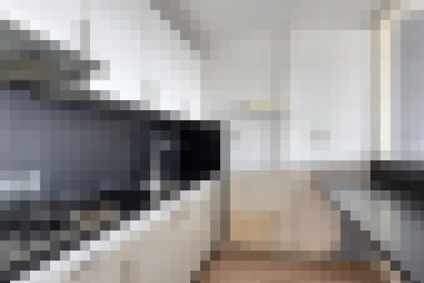 Penningkruid 16 Kampen thumbnail 11