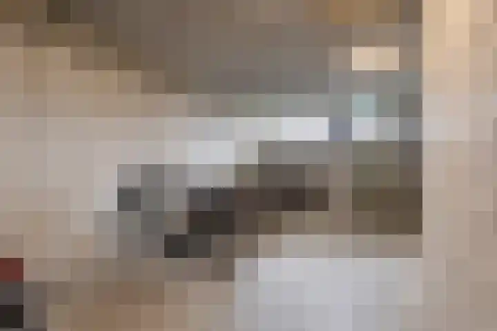 Penningkruid 16 Kampen thumbnail 18