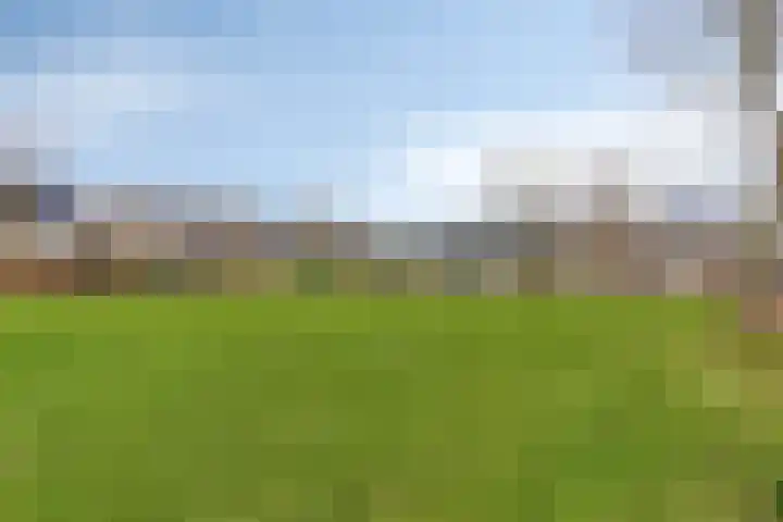 Penningkruid 16 Kampen thumbnail 22