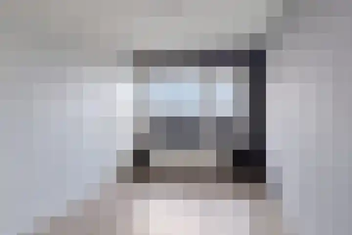 Penningkruid 16 Kampen thumbnail 8