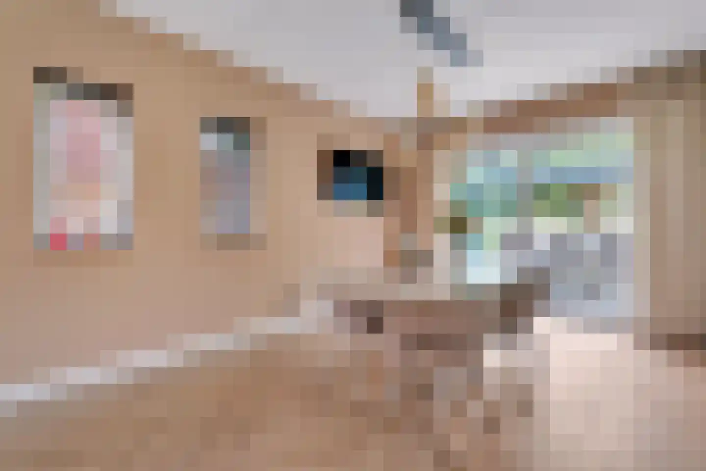 Penningkruid 16 Vroomshoop thumbnail 10
