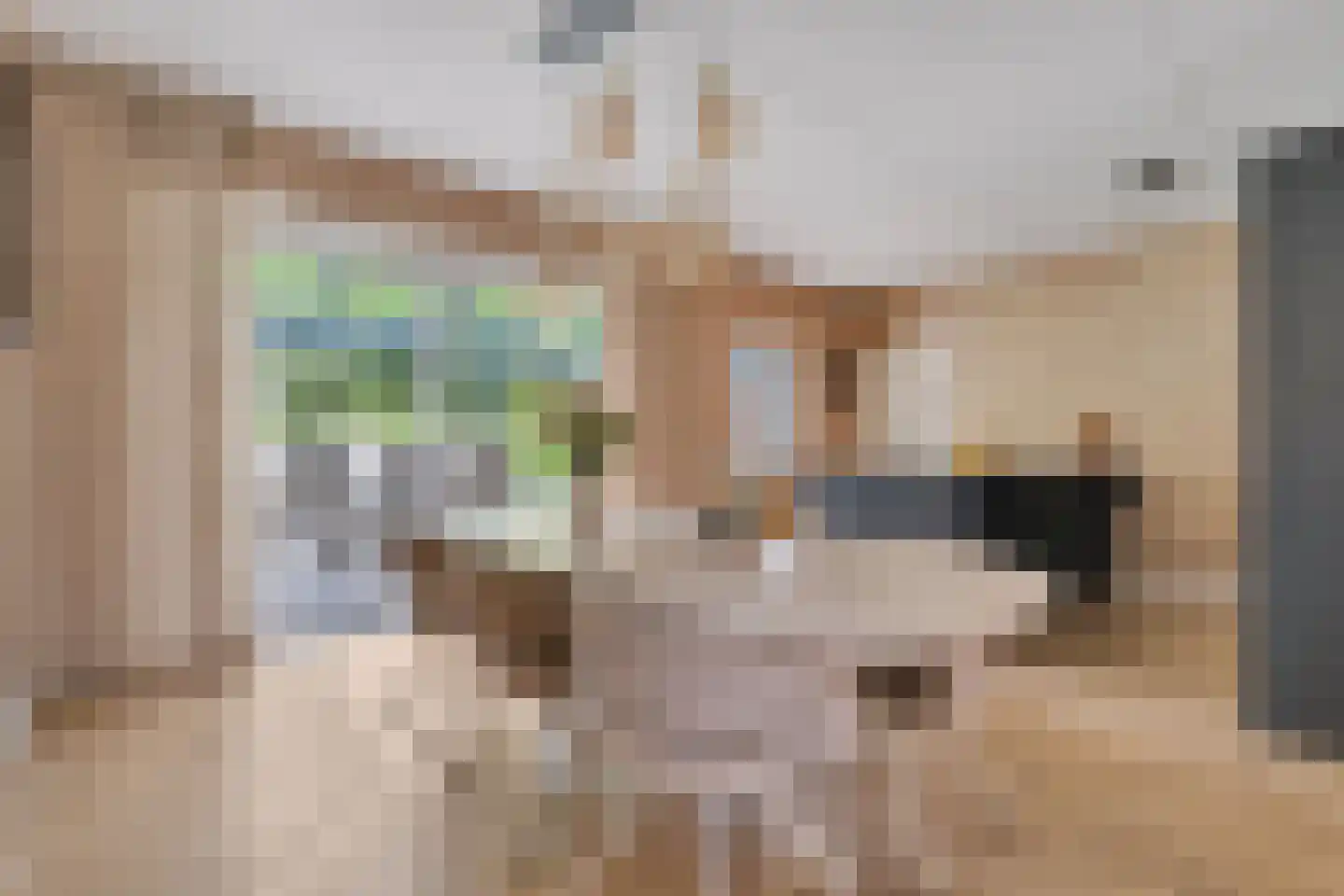 Penningkruid 16 Vroomshoop thumbnail 12