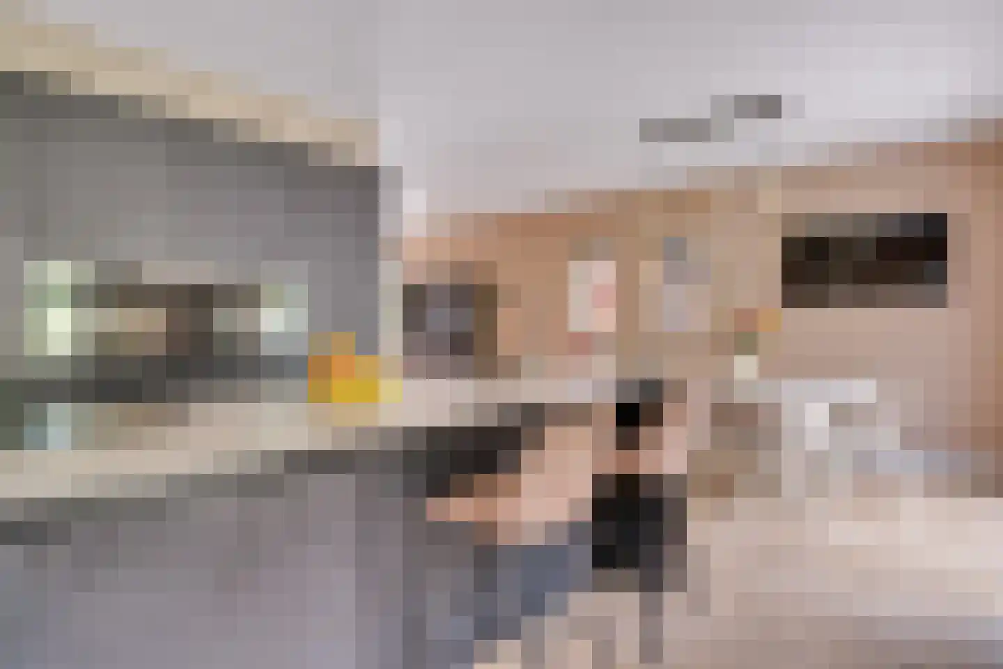 Penningkruid 16 Vroomshoop thumbnail 13