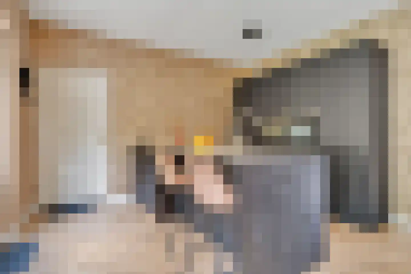 Penningkruid 16 Vroomshoop thumbnail 14