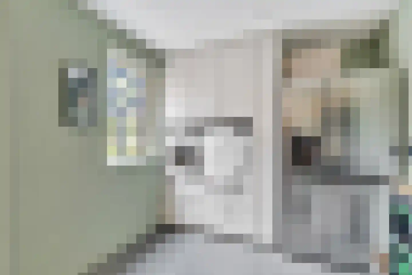 Penningkruid 16 Vroomshoop thumbnail 17