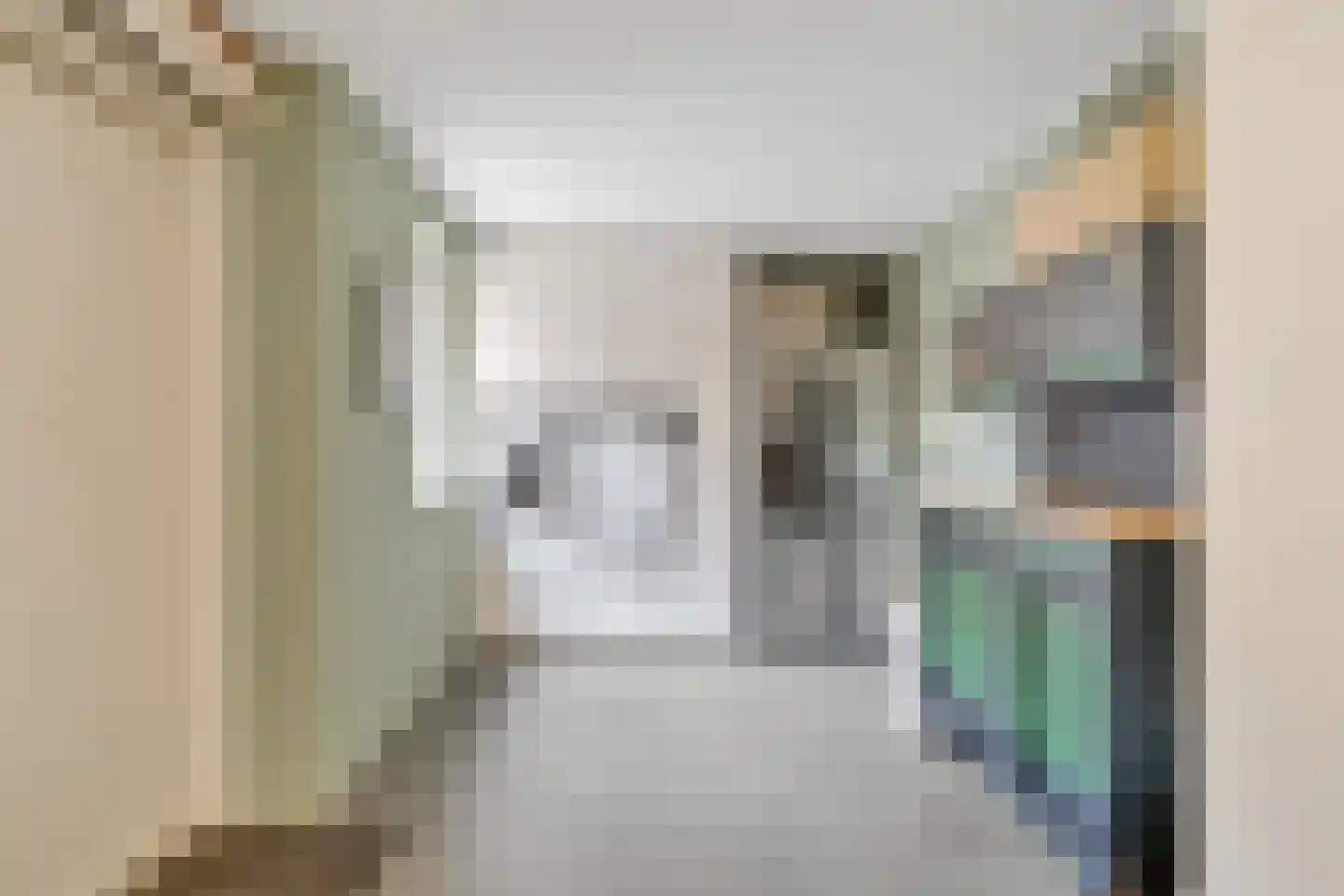 Penningkruid 16 Vroomshoop thumbnail 18