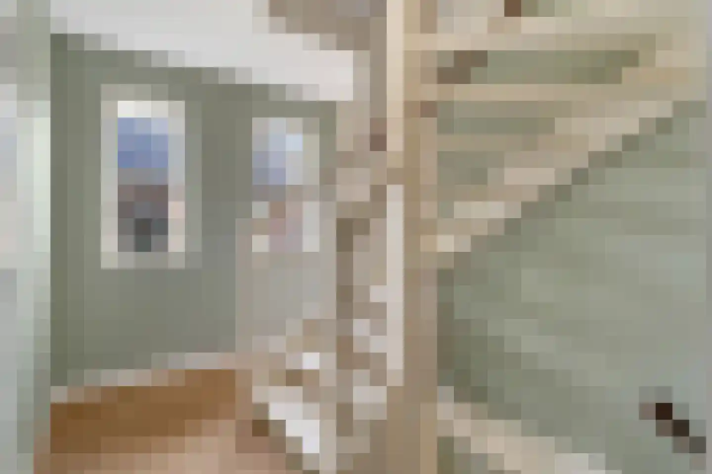 Penningkruid 16 Vroomshoop thumbnail 19