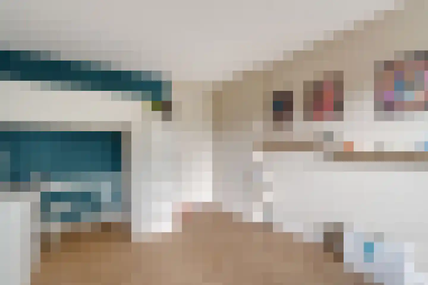 Penningkruid 16 Vroomshoop thumbnail 20