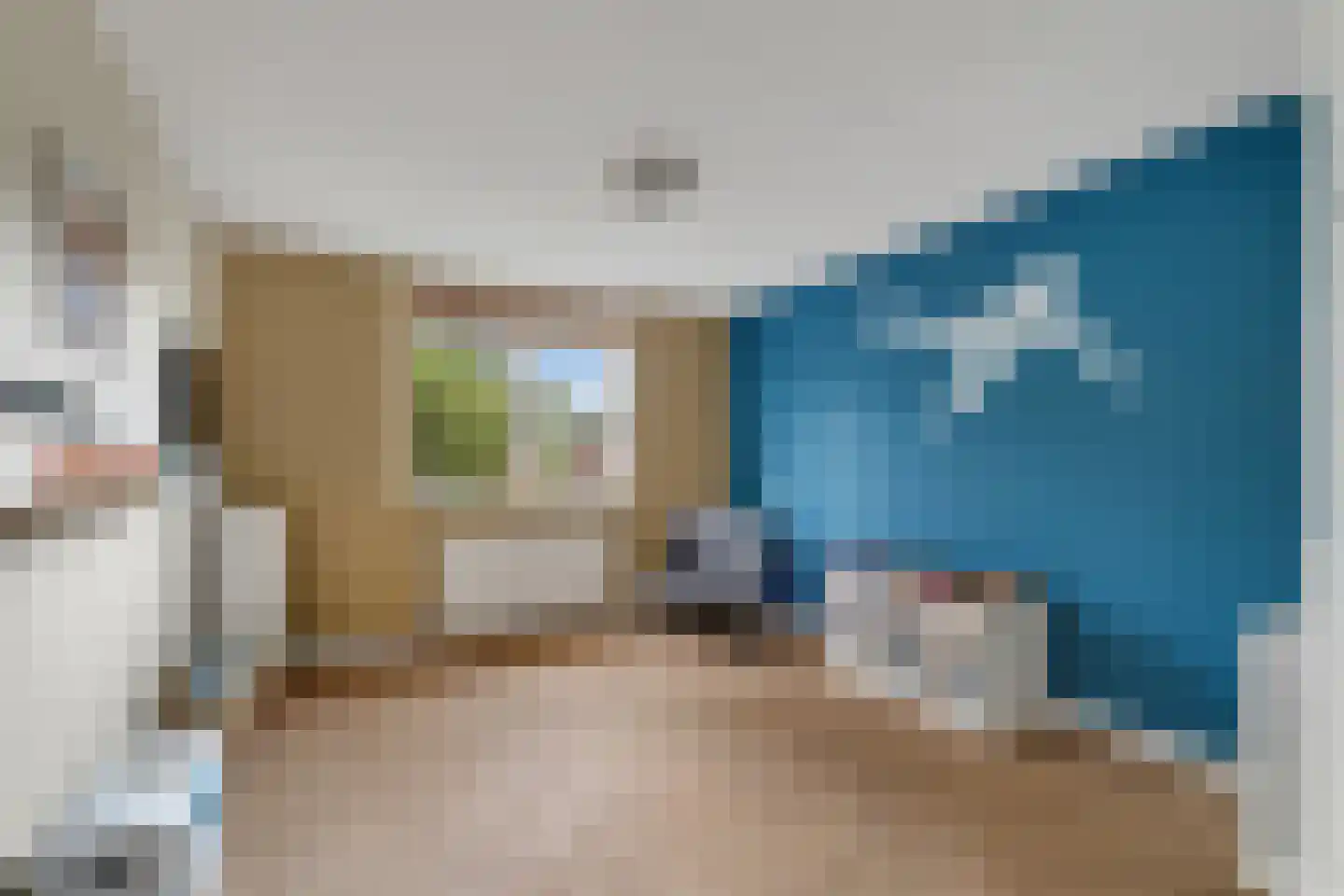 Penningkruid 16 Vroomshoop thumbnail 22
